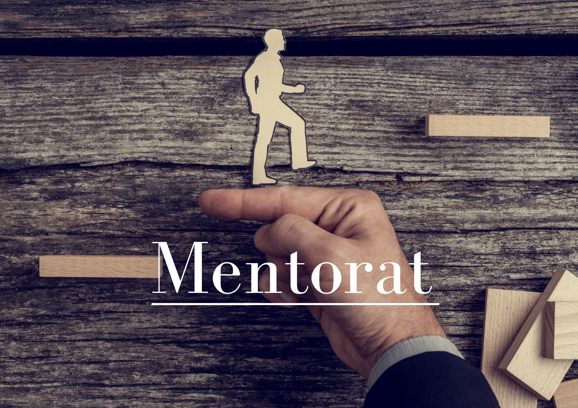 Le mentorat (E-learning FR)